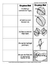 Flip-Flap-Ein-grünes-Blatt-Storm-SW.pdf